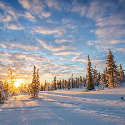 Winter-Abenteuer Lappland: Skandinaviens weiße Wunderwelt