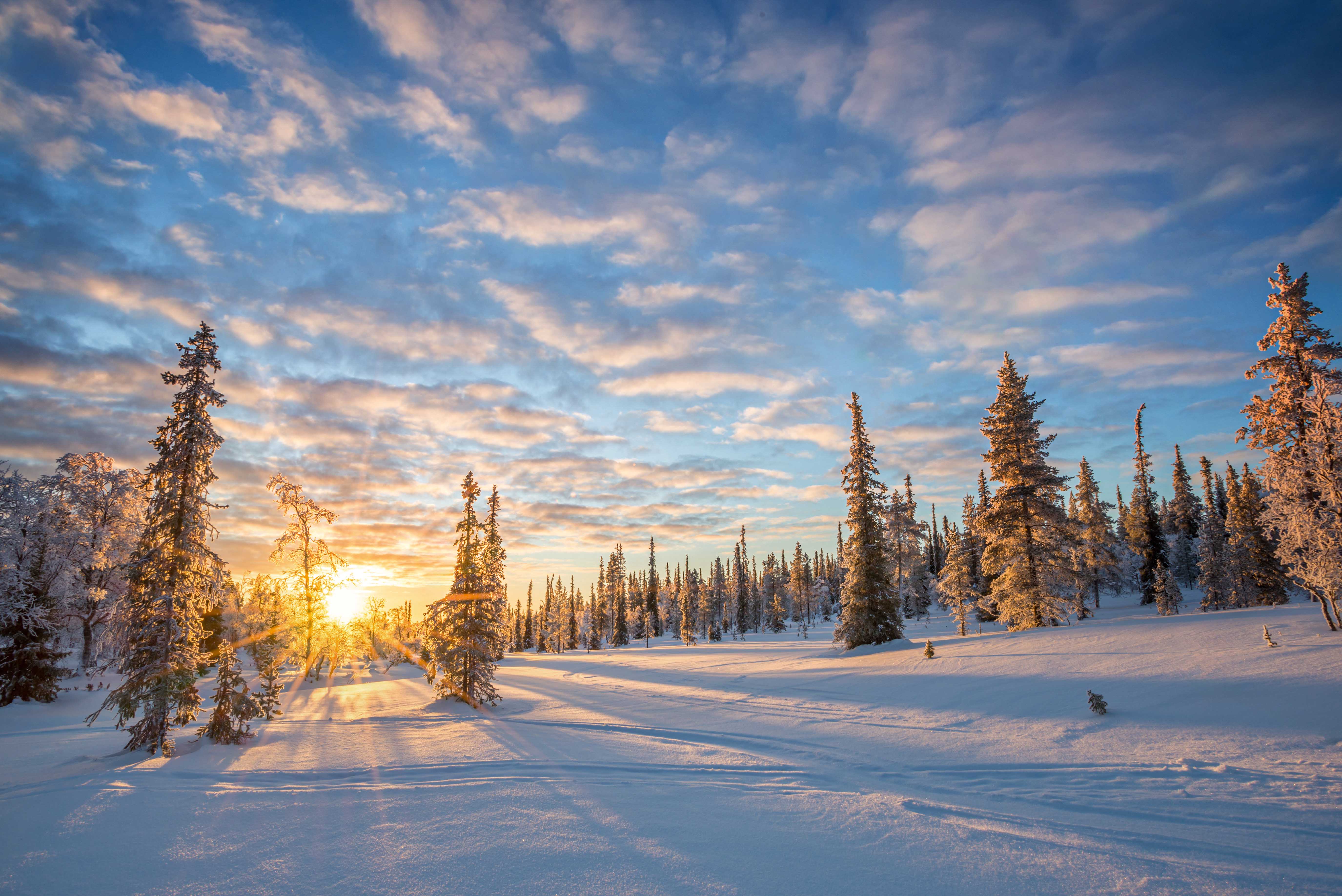 Winter-Abenteuer Lappland: Skandinaviens weiße Wunderwelt