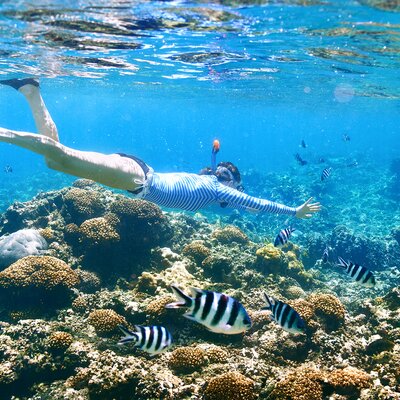 Expedition Seychellen: Winterzauber der paradiesischen Art