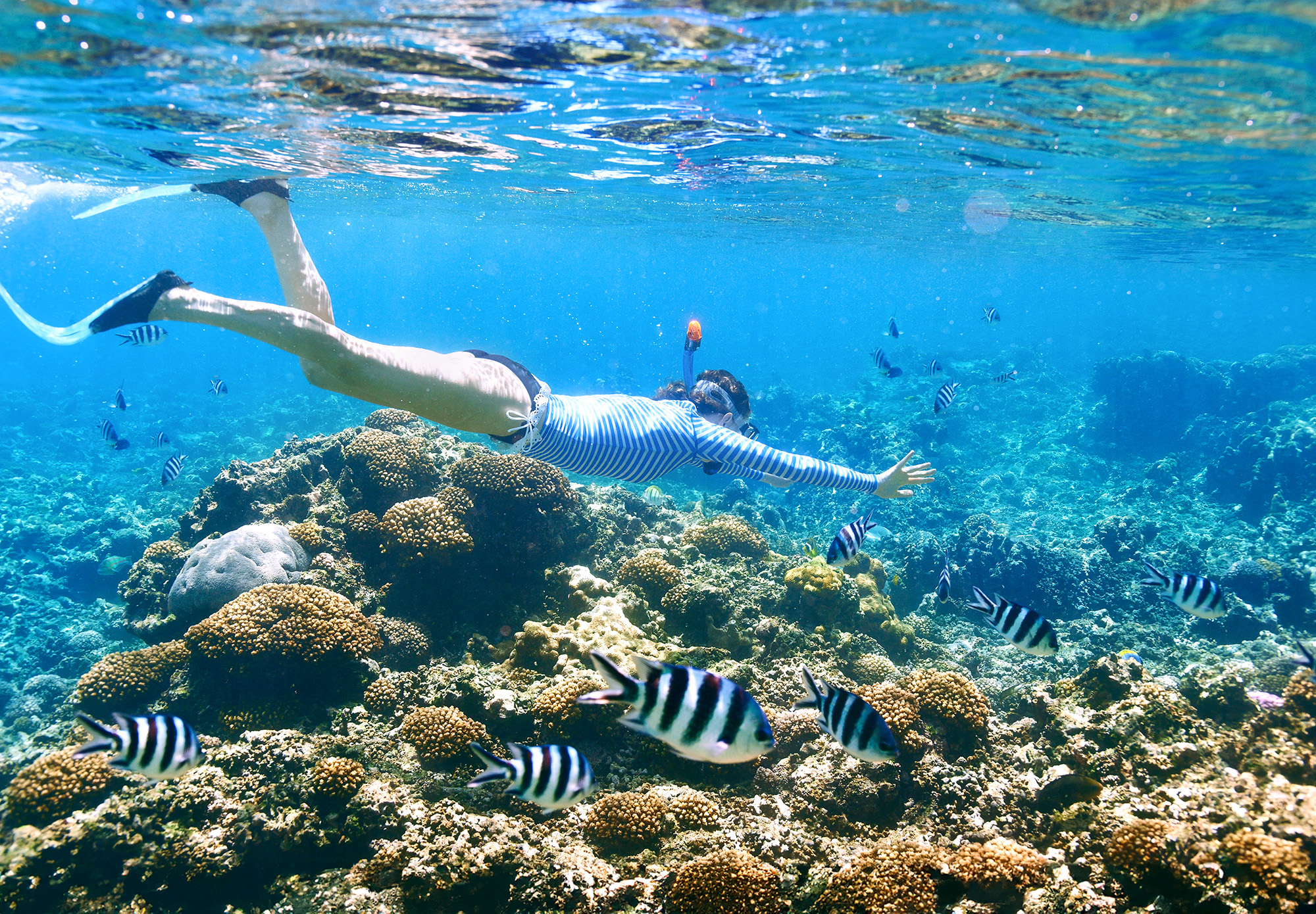 Expedition Seychellen: Winterzauber der paradiesischen Art