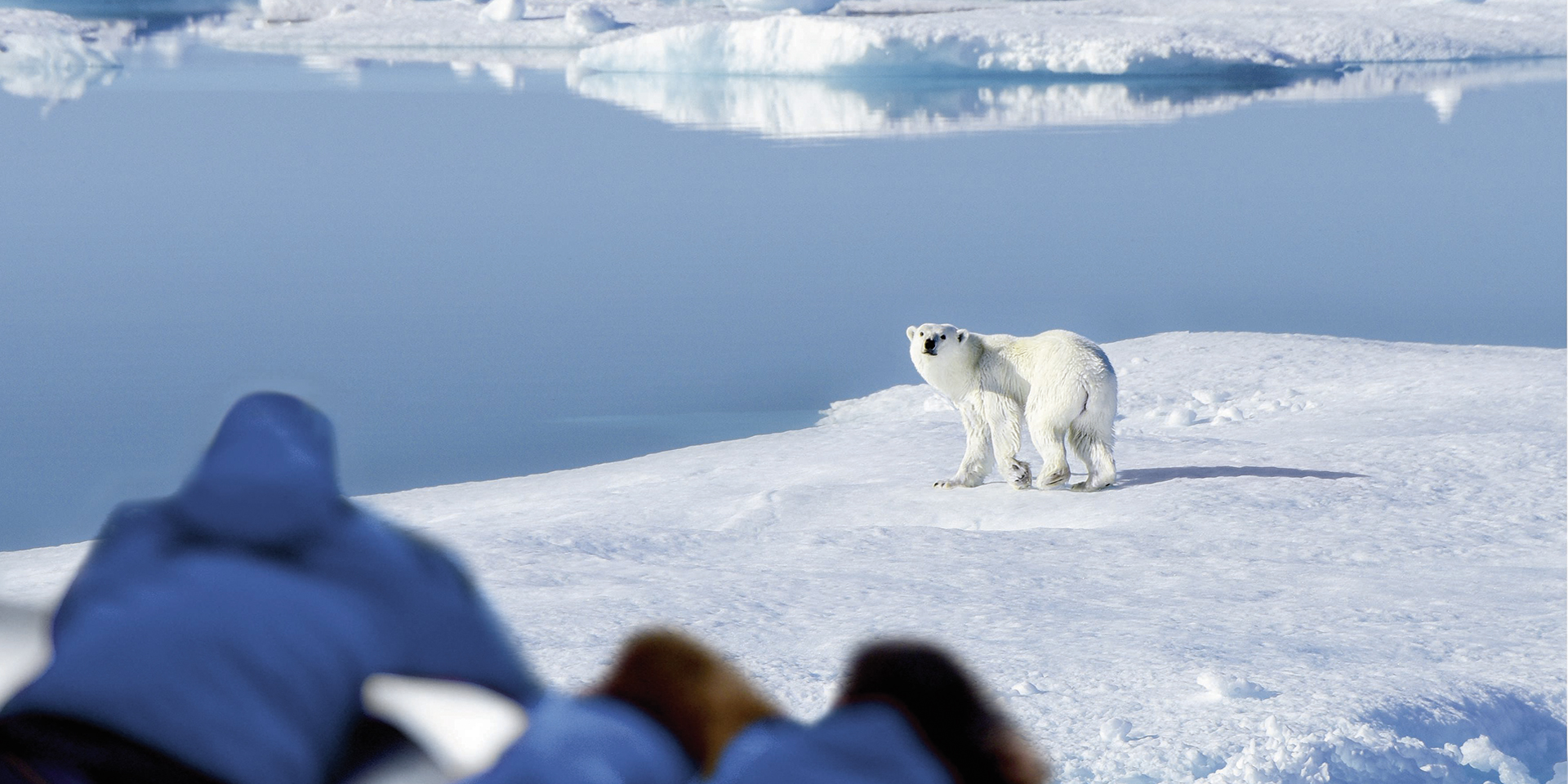 Expedition Spitzbergen-Umrundung via Kvitøya - Spitzbergens geheime Seite
