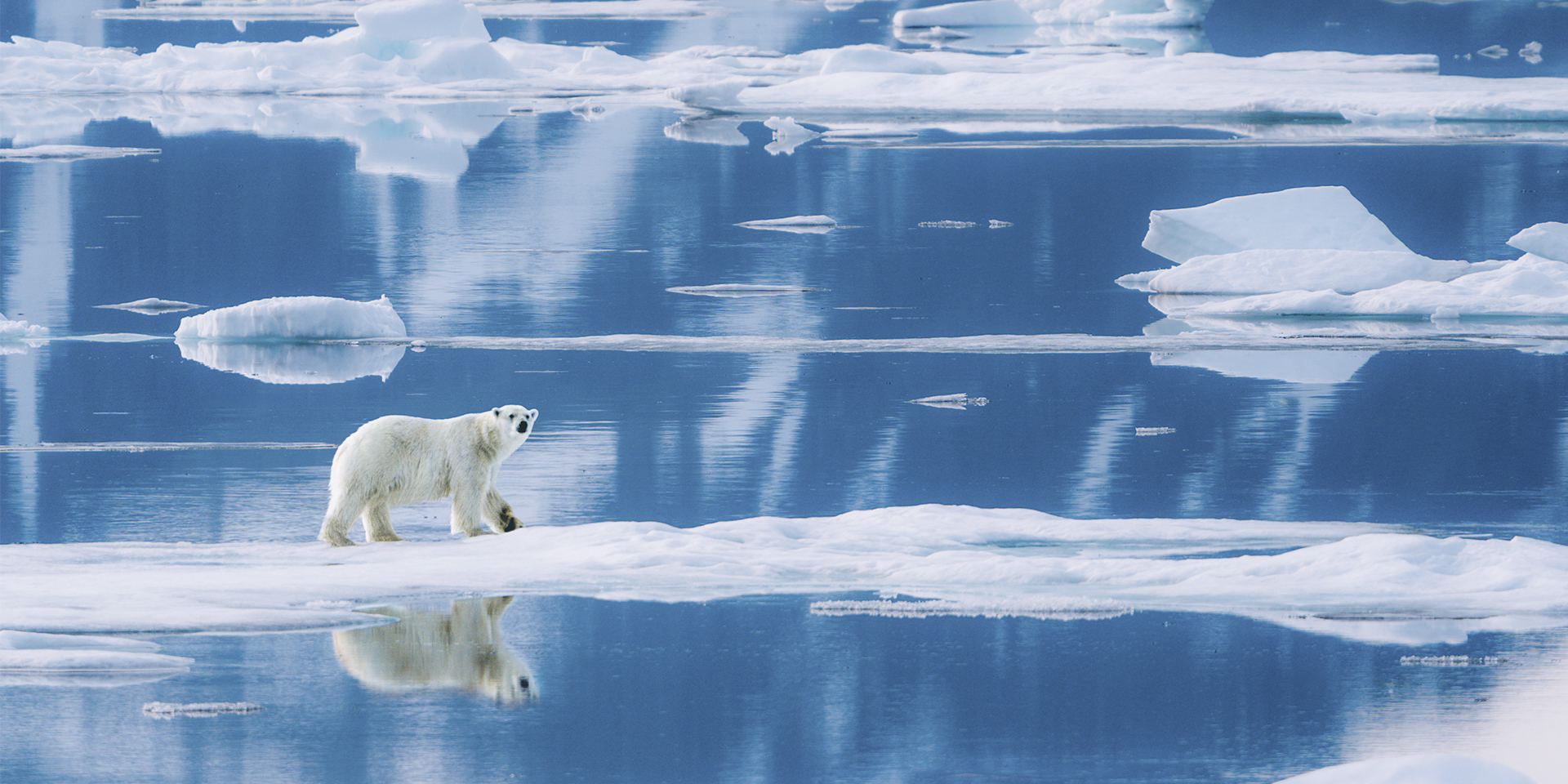Expedition Spitzbergen-Umrundung via Kvitøya - Eine abgelegene Schönheit
