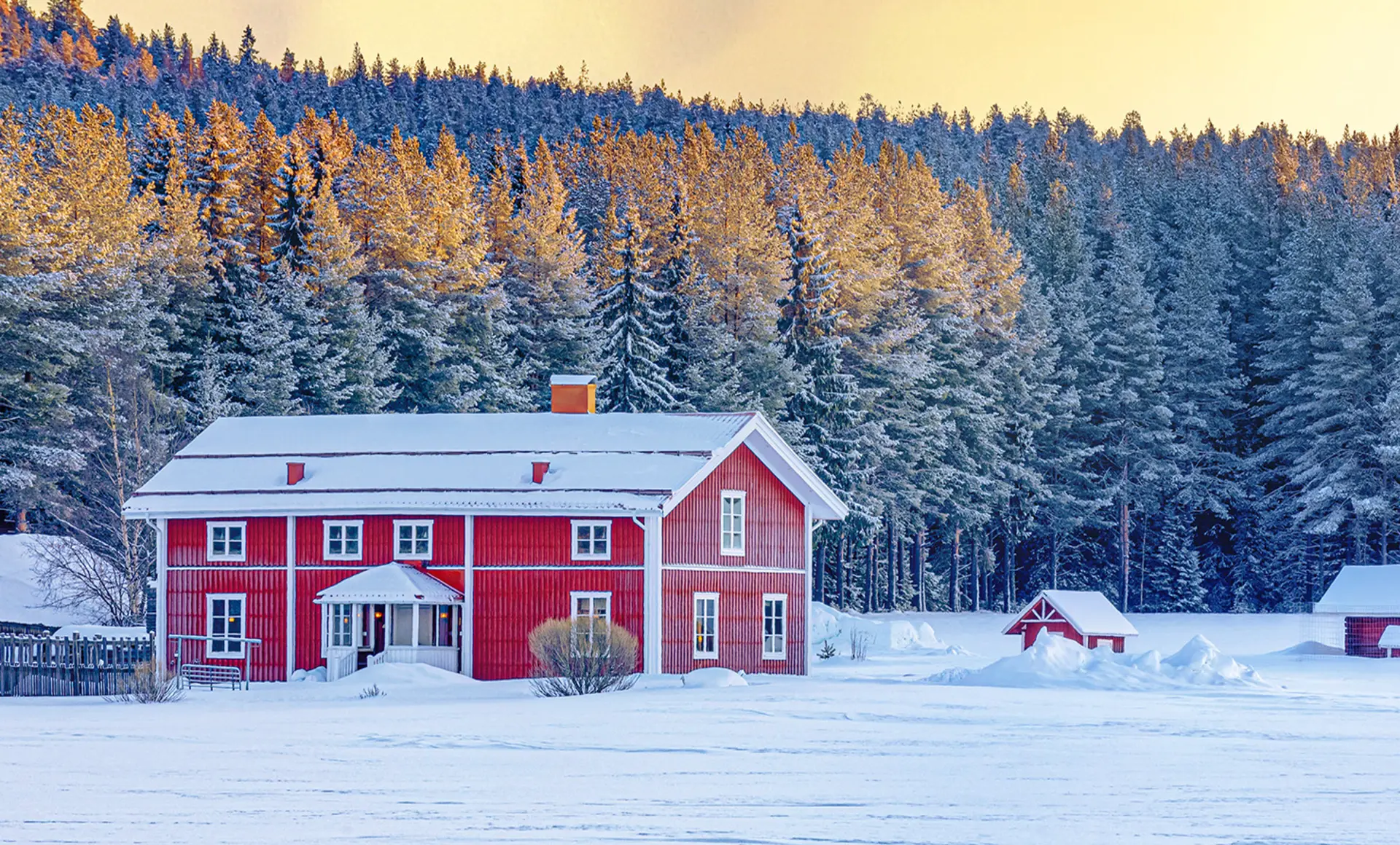 Weihnachtsabenteuer Lappland: Schönste Geschenke für den Entdeckergeist