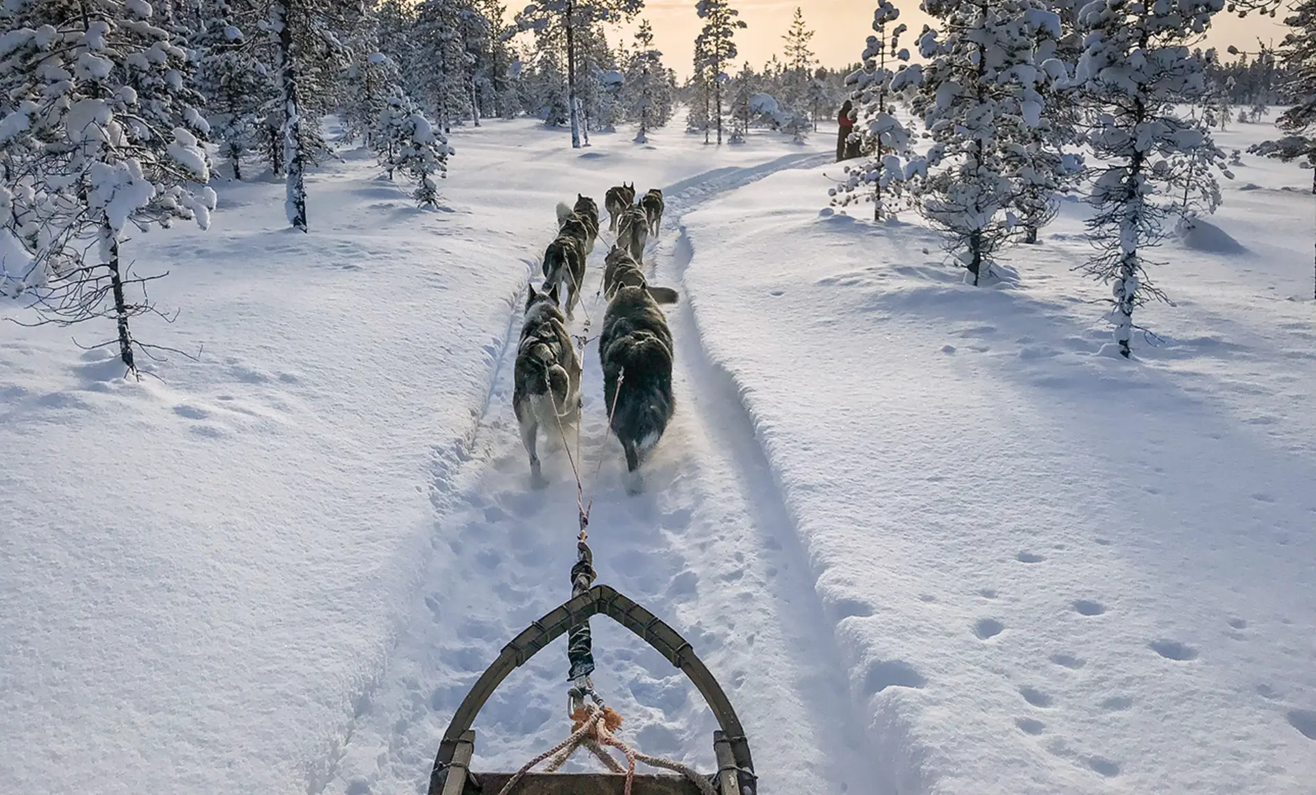 Winter-Abenteuer Lappland: Skandinavische Terra incognita