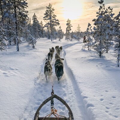 Winter-Abenteuer Lappland: Skandinavische Terra incognita
