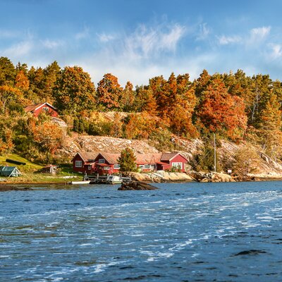 Expedition Indian Summer in Lappland: Ruska – Nordischer Herbst als Farbenmeer