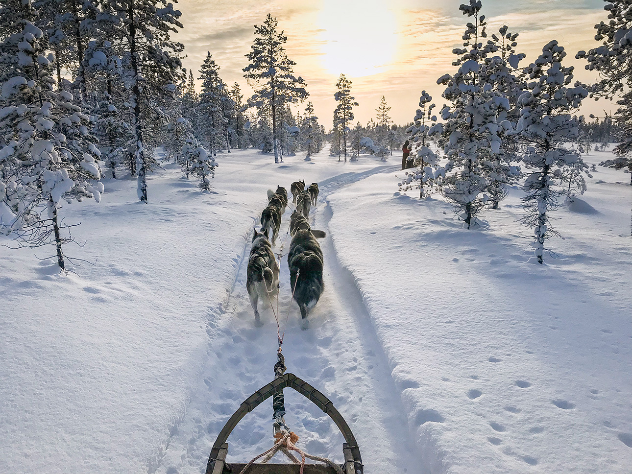 Winter-Abenteuer Lappland: Skandinavische Terra incognita