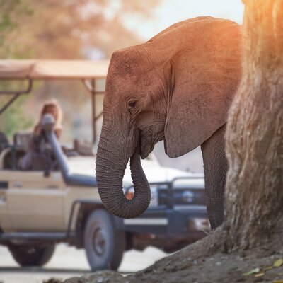 Südafrika und Indischer Ozean: Von epischer Wildnis zu traumhaften Inseln