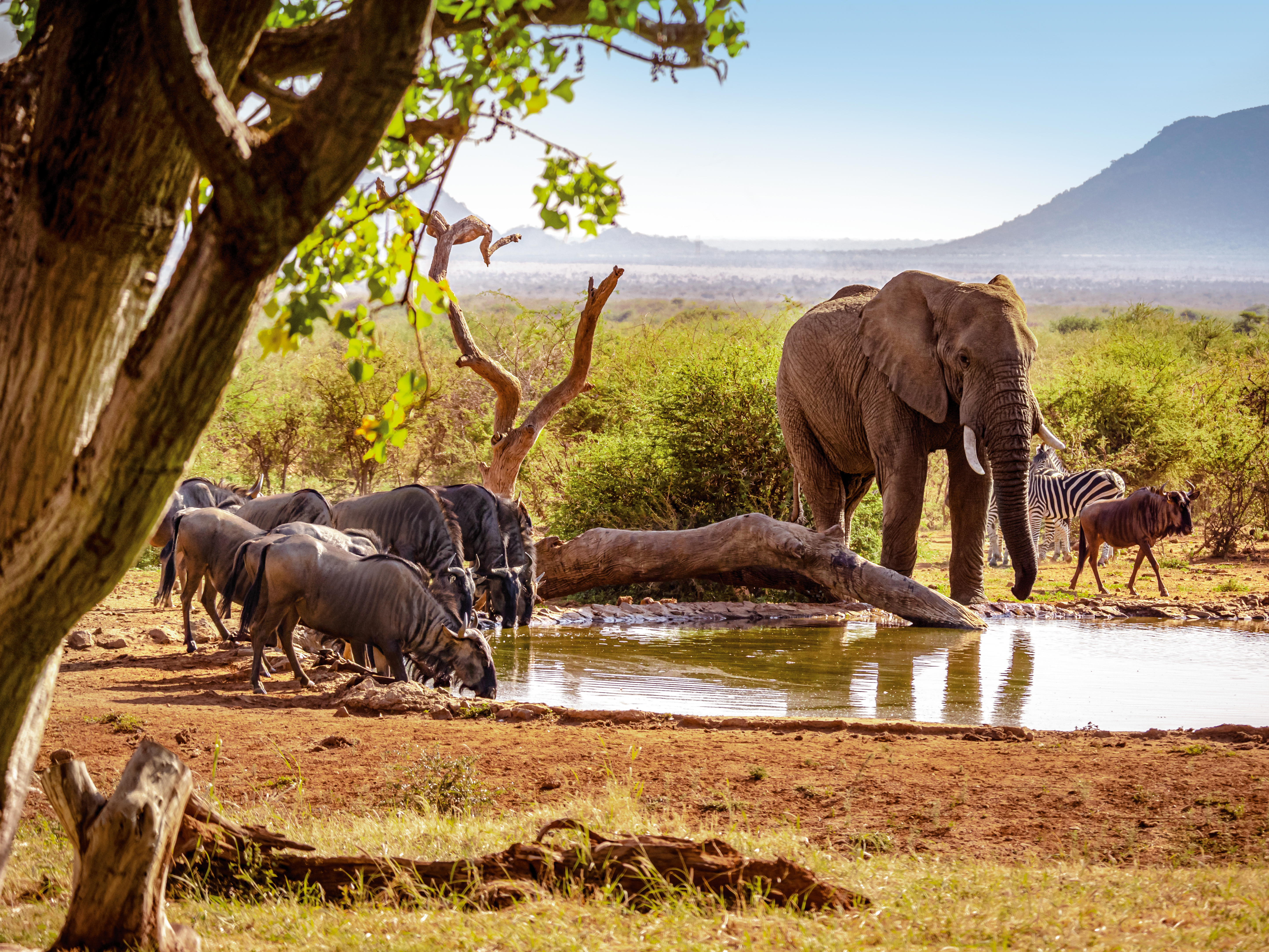 Südafrika und Indischer Ozean: von epischer Wildnis zu traumhaften Inseln
