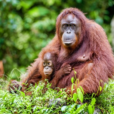 Expedition Unbekanntes Indonesien: Land der tausend Inseln