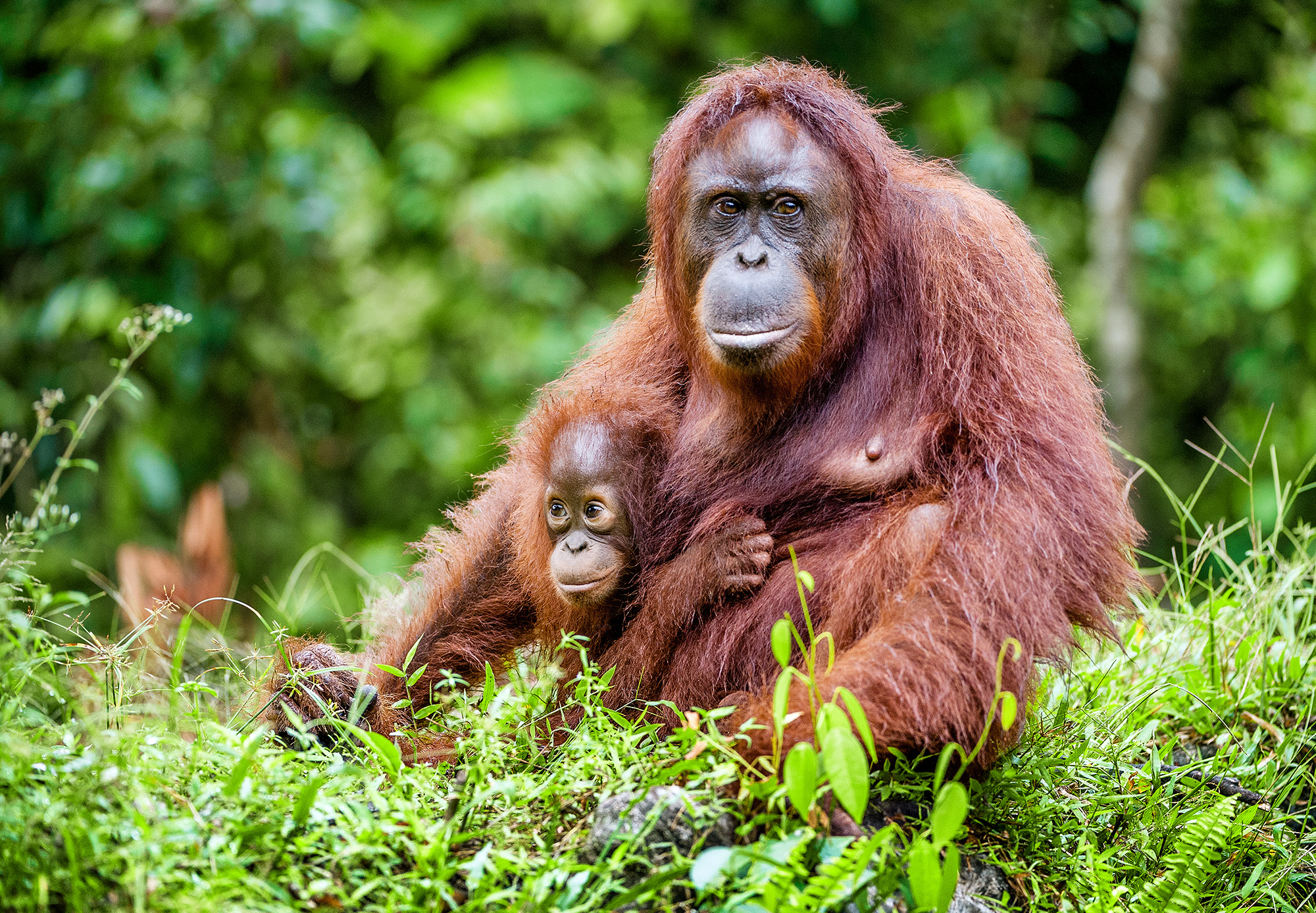 Expedition Unbekanntes Indonesien: Land der tausend Inseln