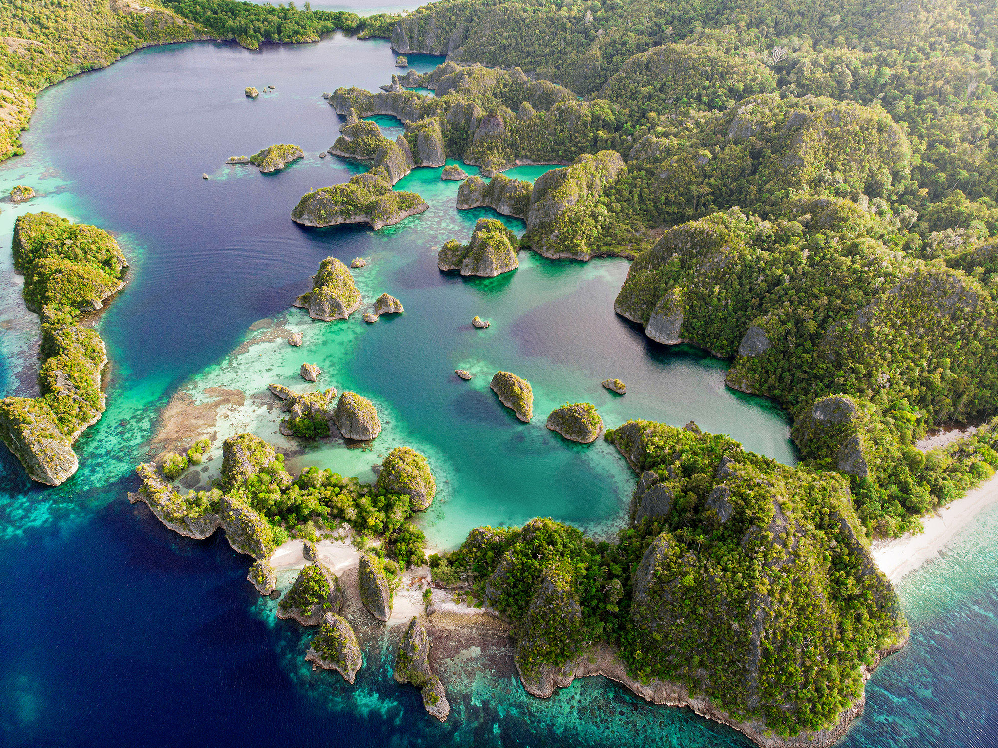 Expedition Molukken, Raja Ampat und Philippinen: Paradiese über und unter Wasser