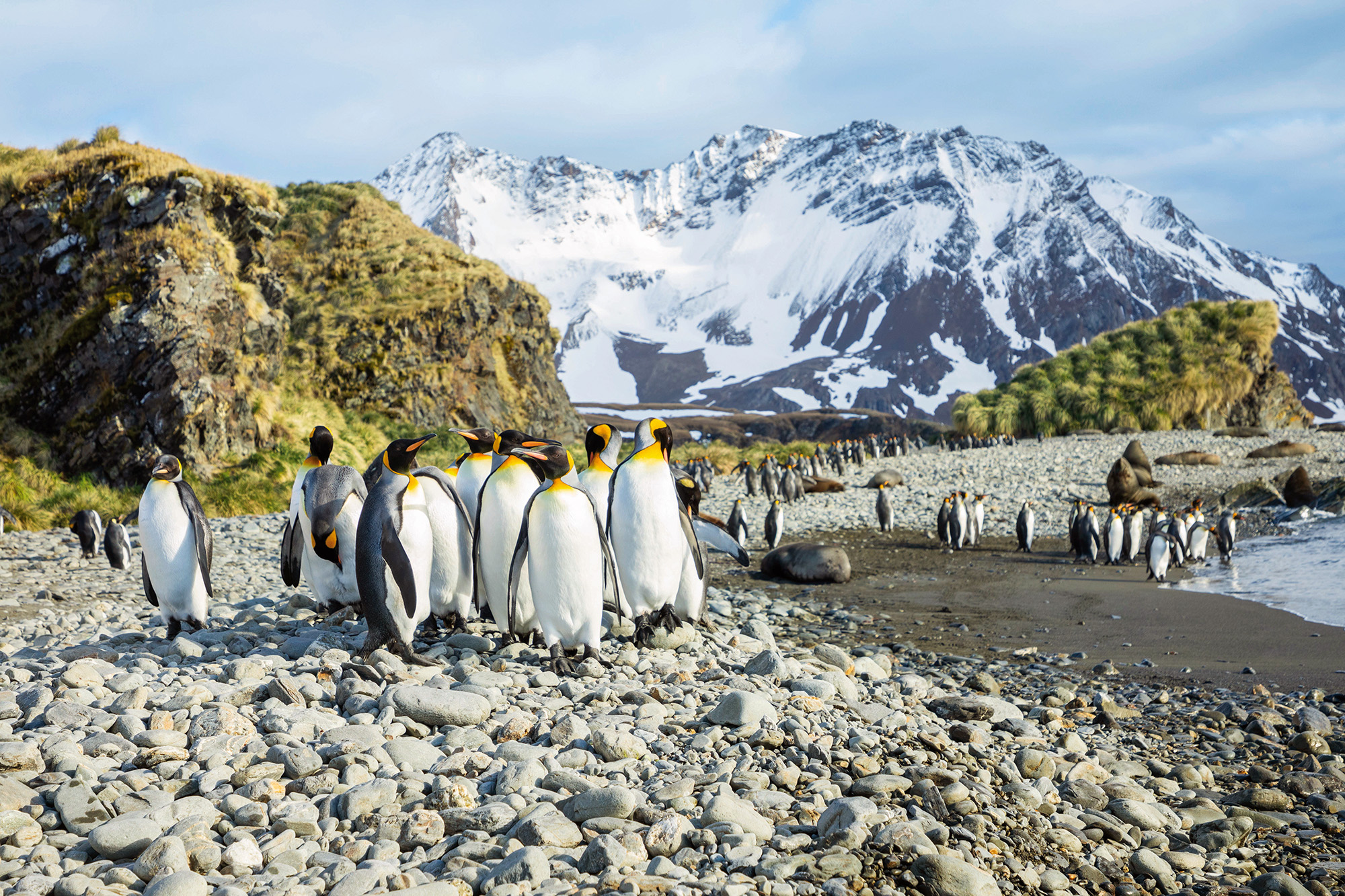Expedition Antarktis: Höhepunkte intensiv
