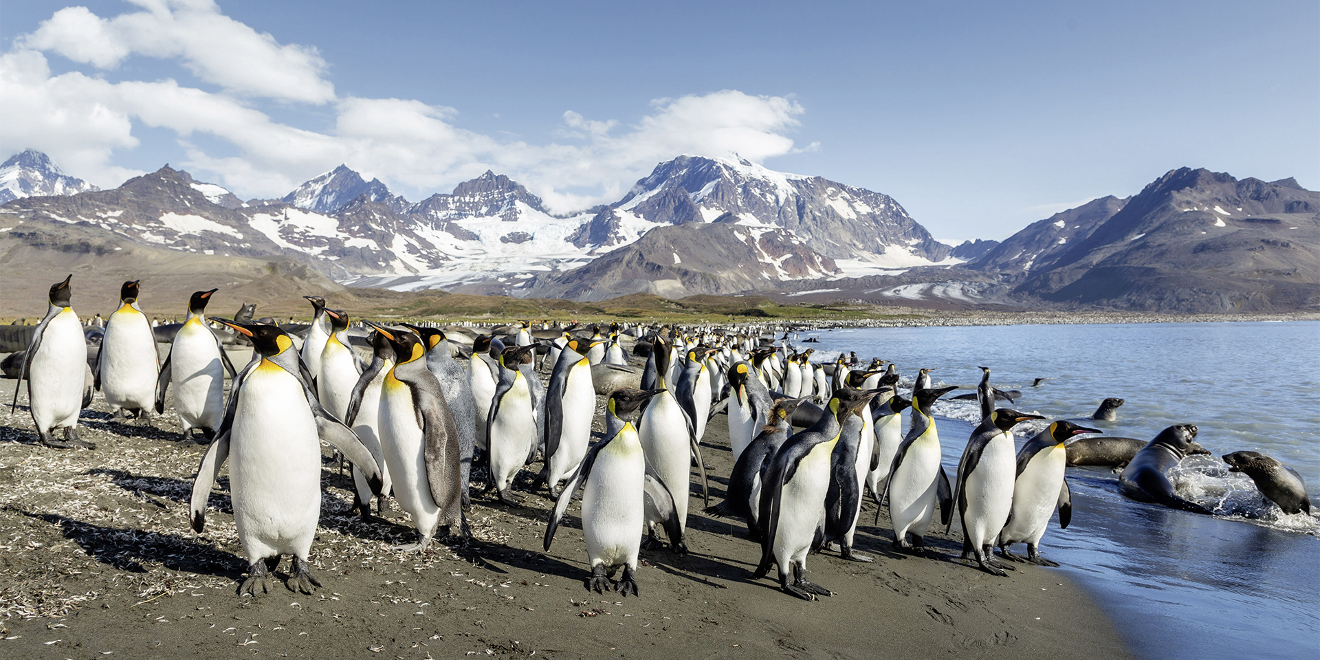 Expedition Antarktis mit Chiles Fjordwelt