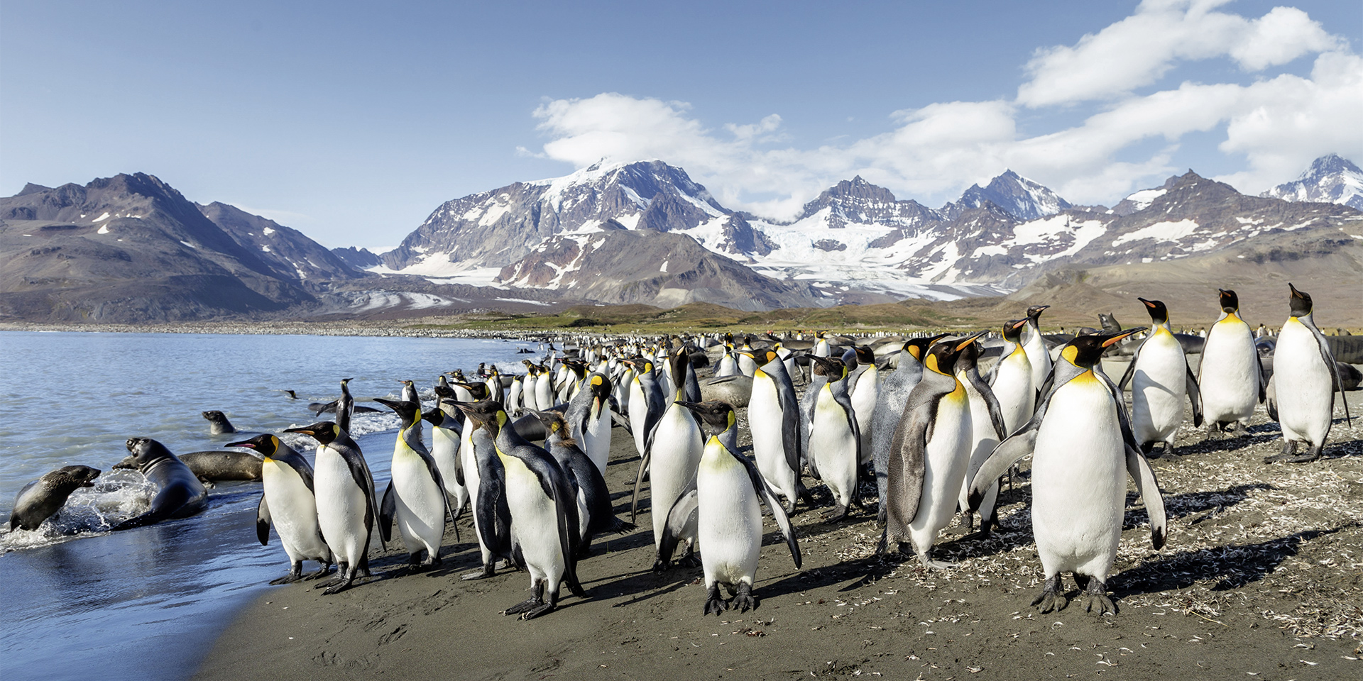 Expedition Antarktis mit Chiles Fjordwelt