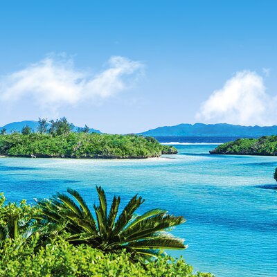 Expedition Japanische Südsee: Yin und Yang der Paradiesinseln
