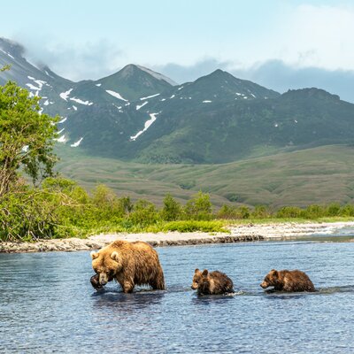 Alaska (Inside Passage): Wilde weite Wunderwelt
