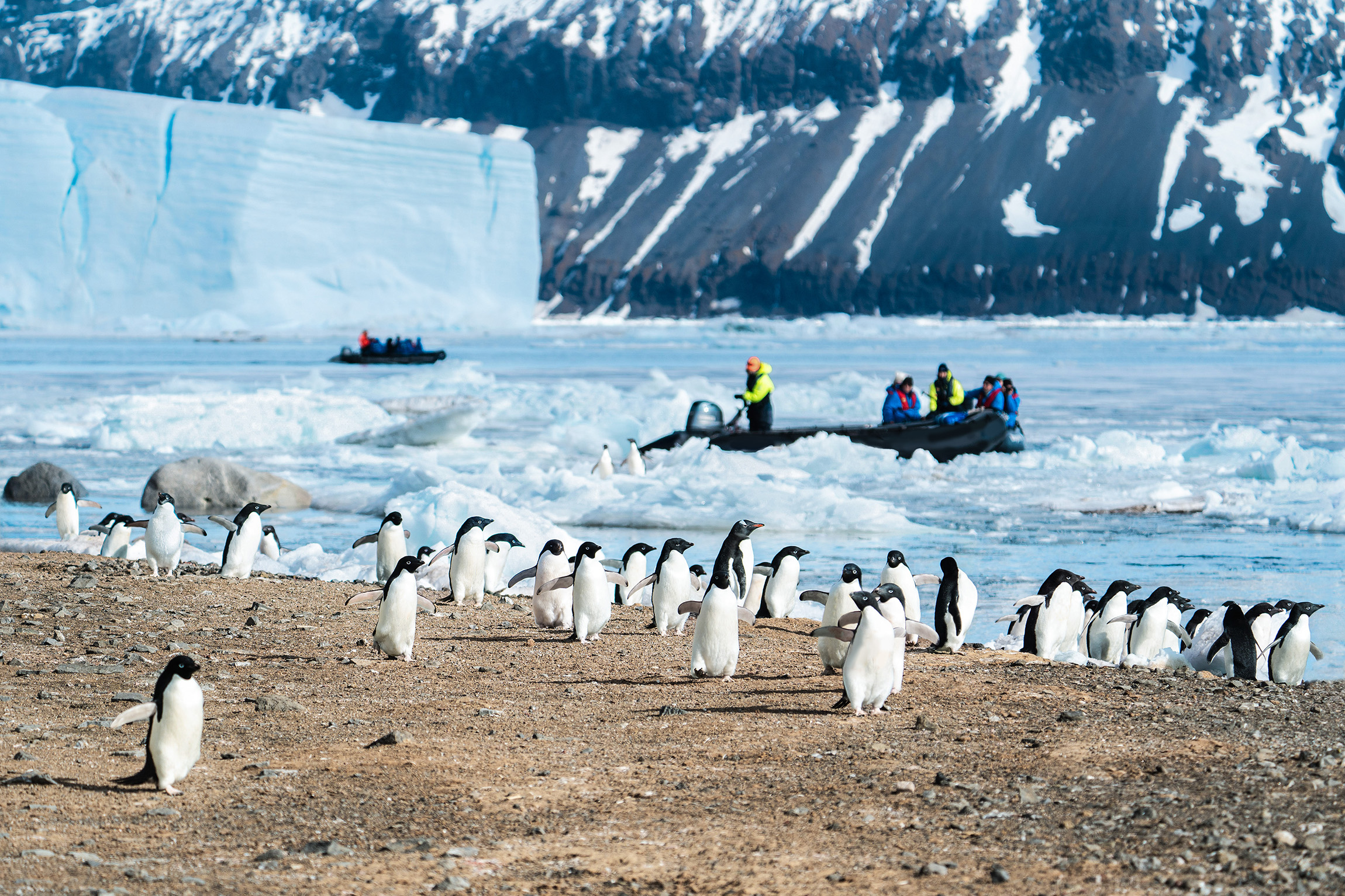 Expedition Antarktis: Südpolarkreis intensiv
