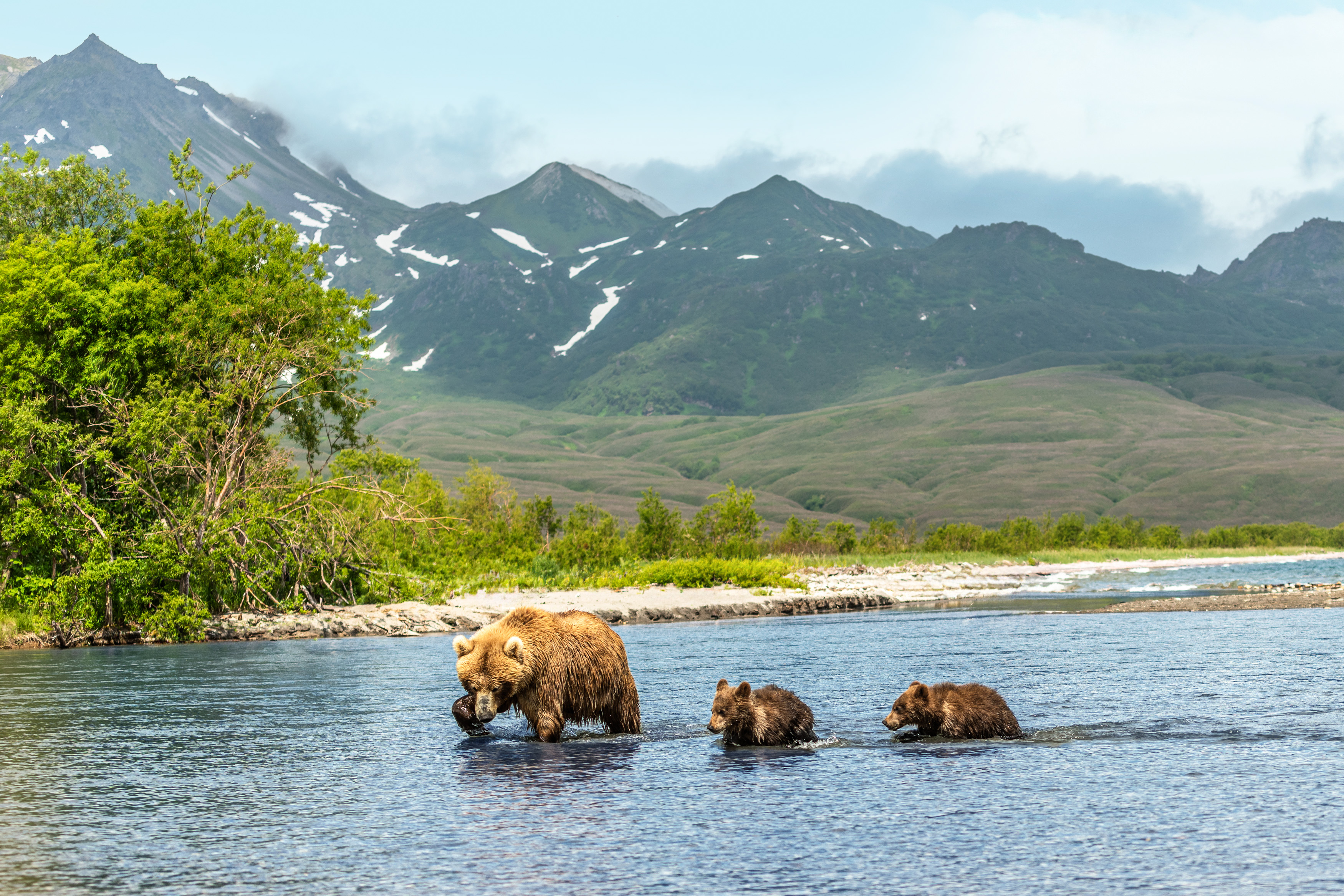 Alaska (Inside Passage): Wilde weite Wunderwelt